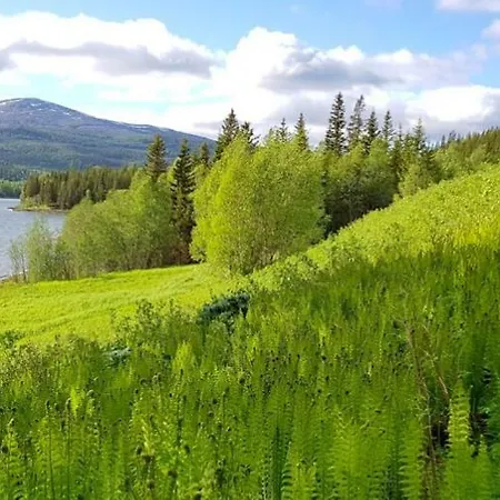 Kemp Treehouse Helgeland