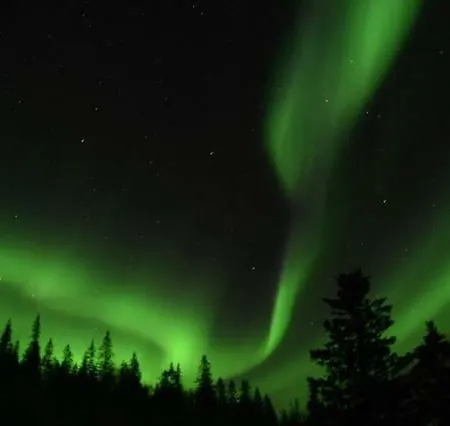 Treehouse Helgeland *