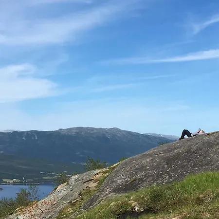 Treehouse Helgeland Campsite Mosjoen